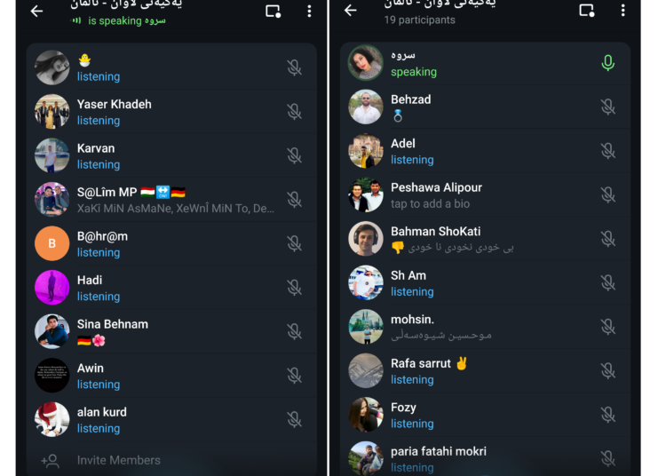بەڕێوە چوونی کۆبوونەوەیەکی ئانلاین بۆ ئەندامانی یەکیەتیی لاوانی دێموکراتی ڕۆژهەڵاتی کوردستان لە وڵاتی ئاڵمان